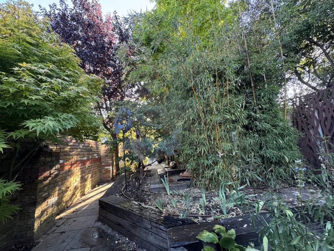 Mature garden with bamboo and raised beds on drip irrigation
