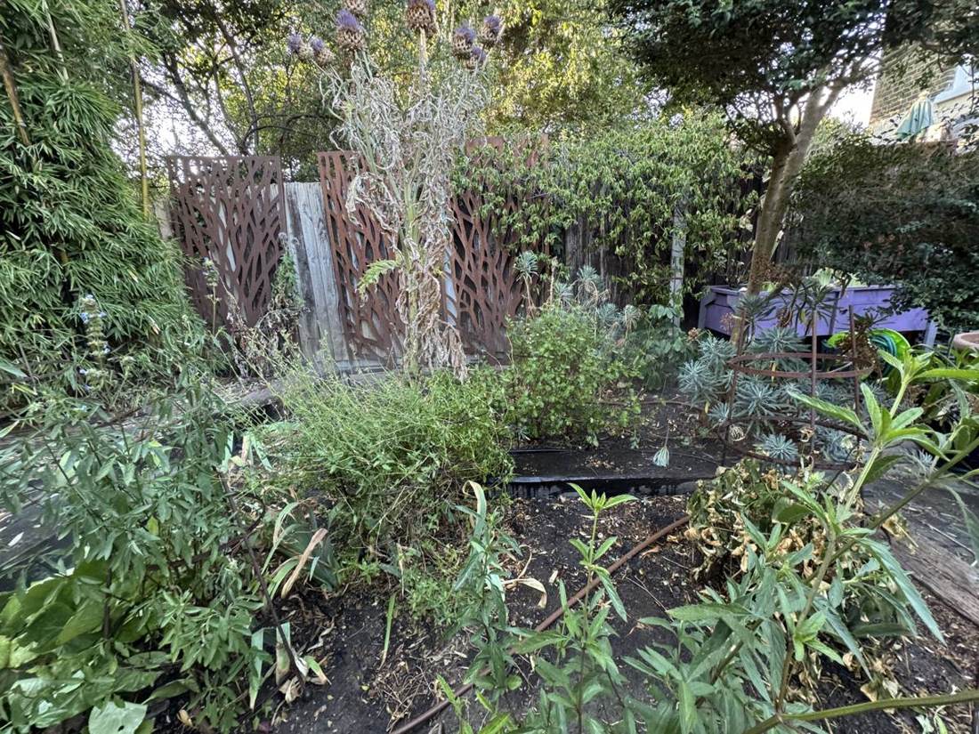 Established planted garden on an irrigation system