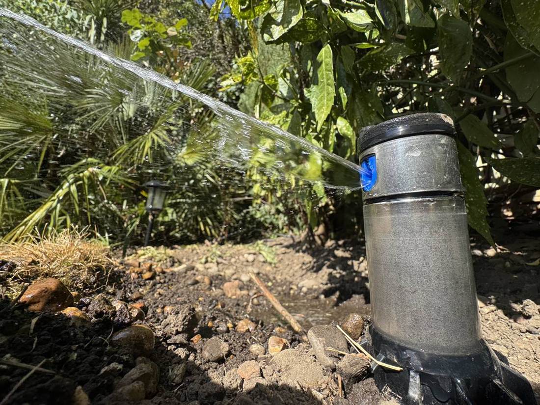 Pop-up sprinkler watering a planted border