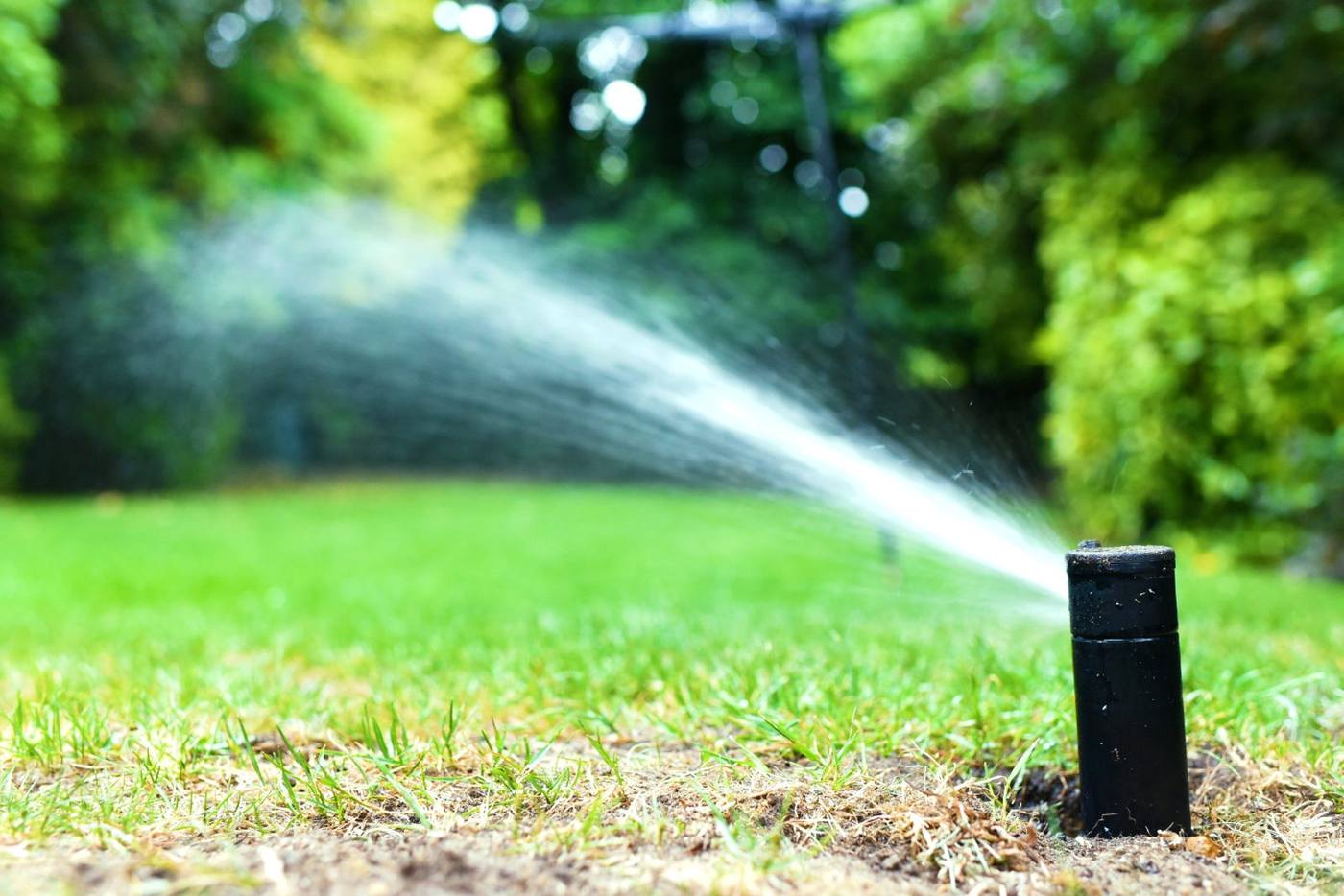 Garden lawn irrigation beside a house