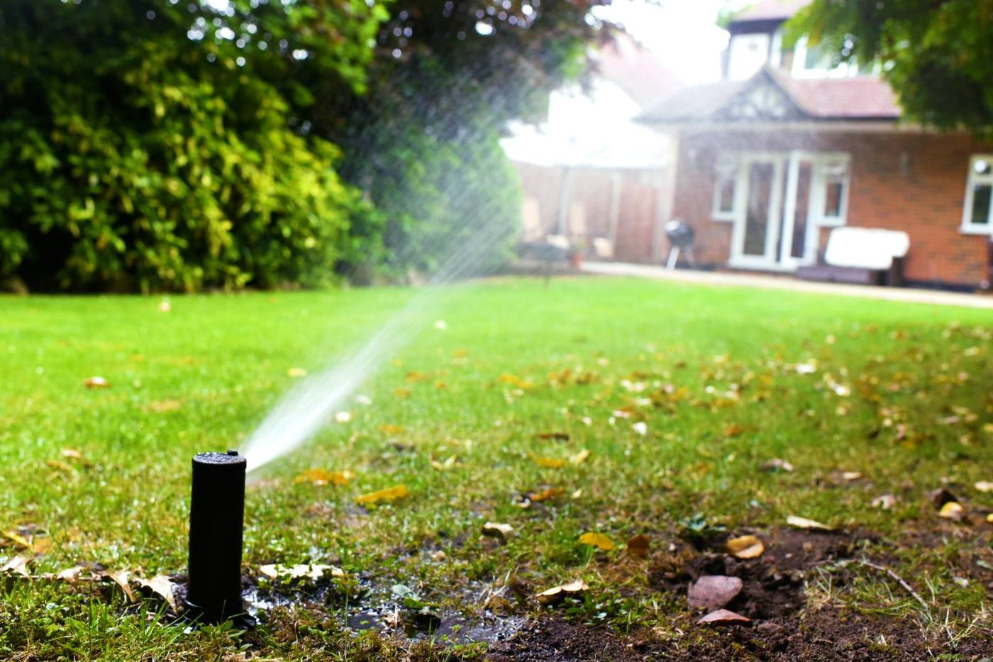 Sprinkler arc across a lawn