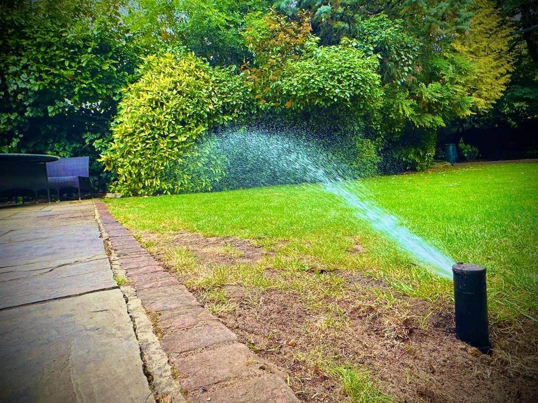 Pop-up sprinkler watering a lawn