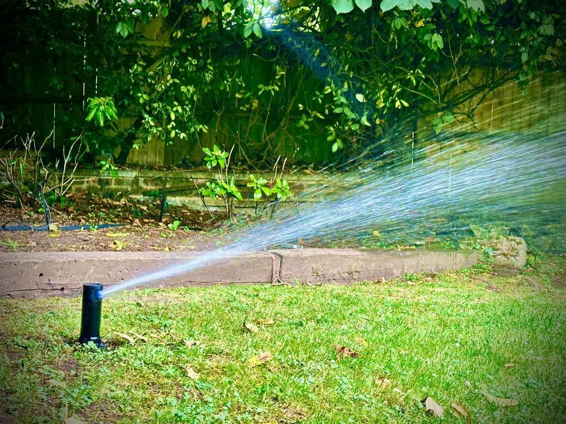 Drip irrigation in a planted border
