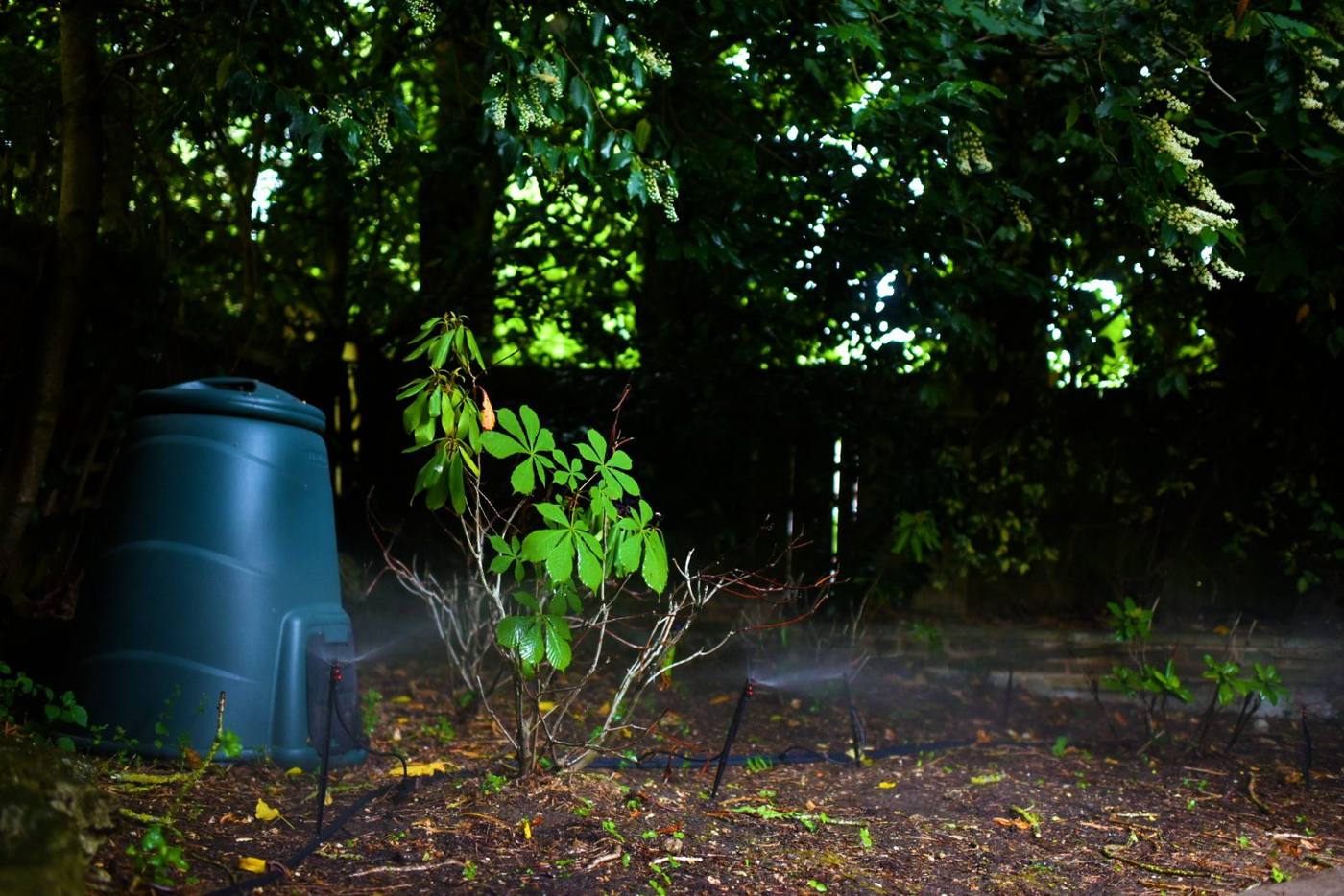 Irrigation system watering an established garden bed