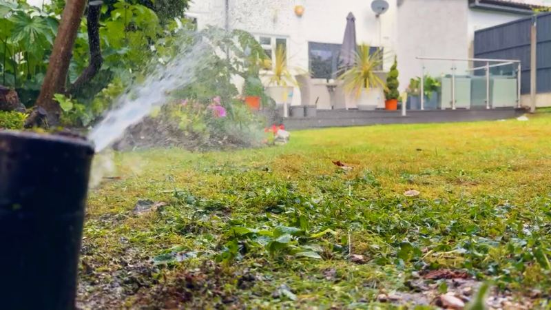Close-up of a pop-up sprinkler spraying across a lawn towards a white house